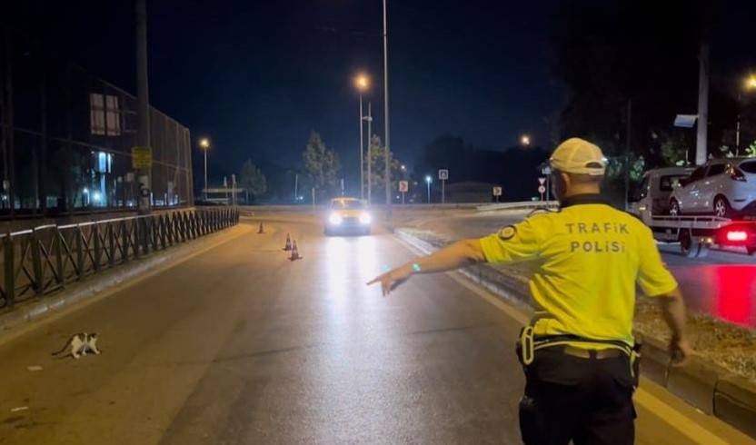 Bir Yudum Alkol, 2 Yıl Ehliyetsiz Hayat!