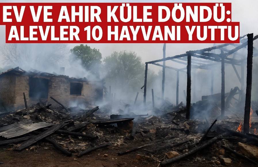 Ev ve Ahır Küle Döndü: Alevler 10 Hayvanı Yuttu!
