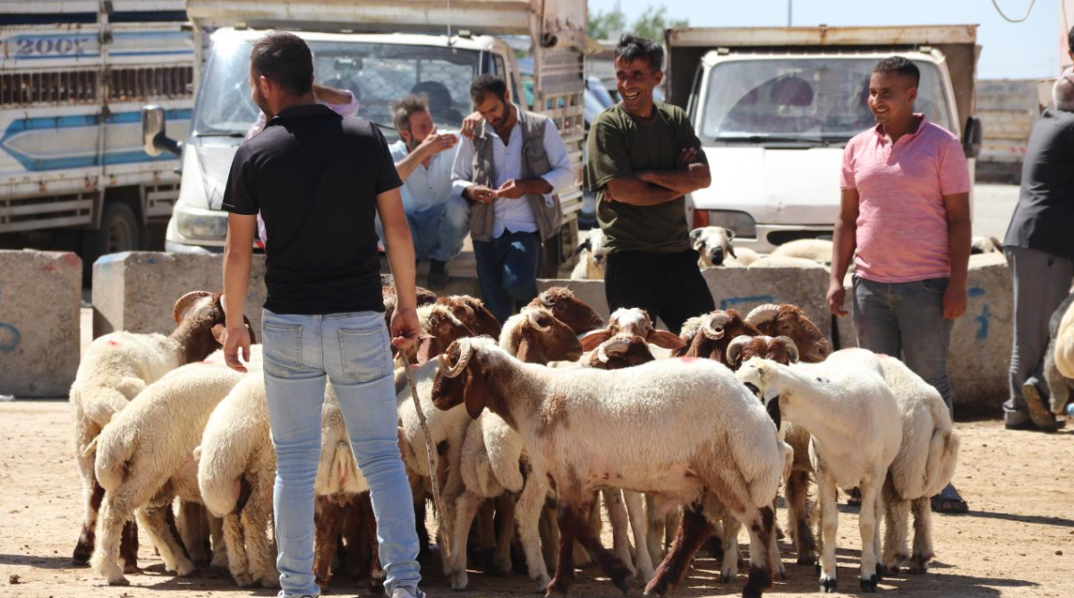 Kurban Derisi Satılamaz mı? İşte Fetva Kurulu’nun Açıklaması