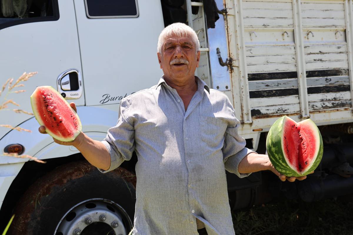 Karpuz Tarlada Kaldı! Fiyatlar 2 Liranın Altına Düştü