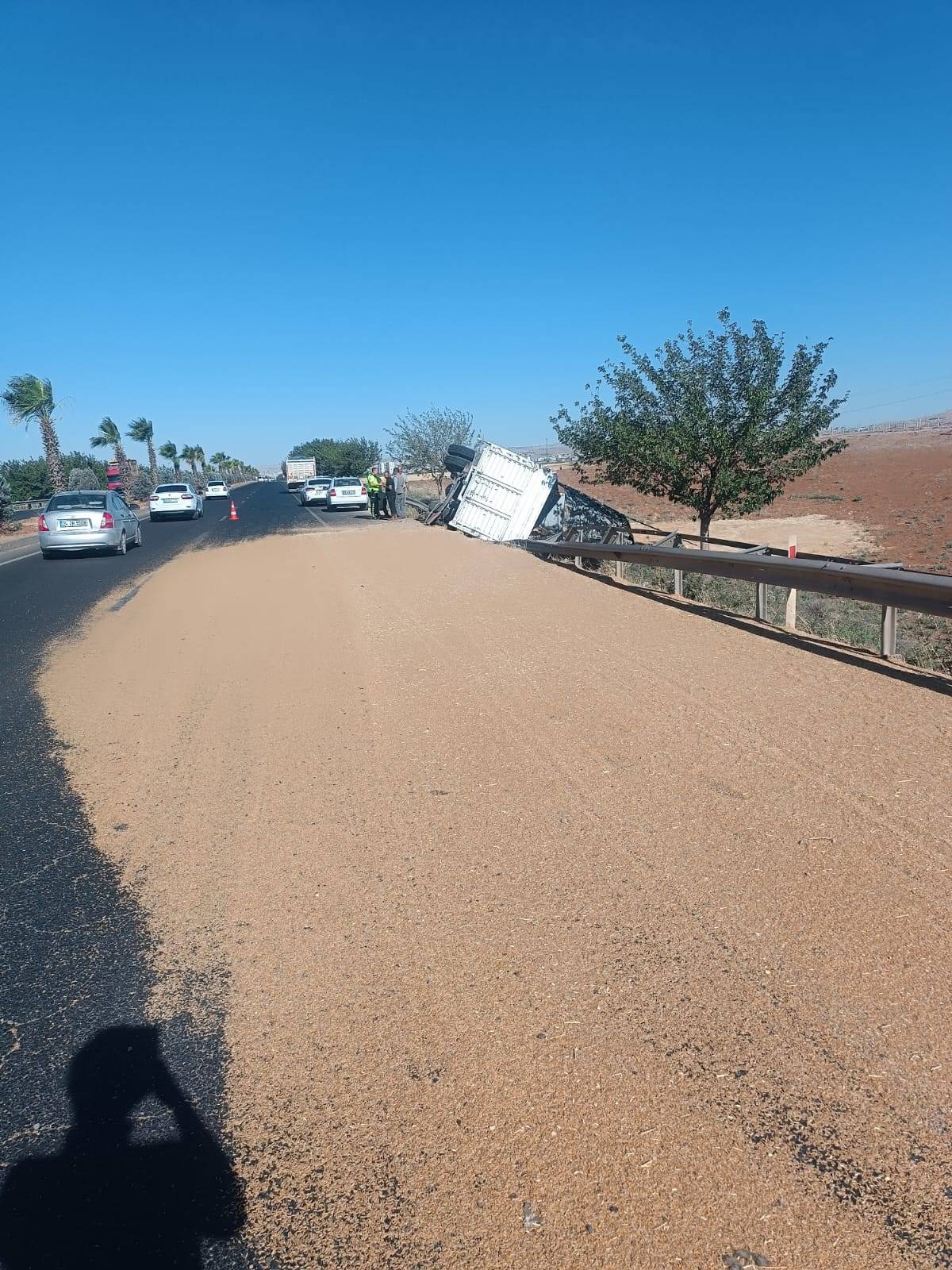 Şanlıurfa-Mardin Karayolunda Buğday Yüklü Tır Devrildi!