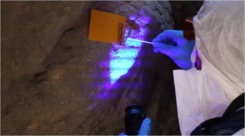 Diyarbakır’da 10 Yıllık Kayıp Cinayeti Aydınlandı