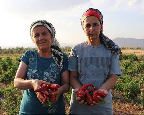 Kadın Çiftçiler Tarımda Öncü Rol Üstleniyor