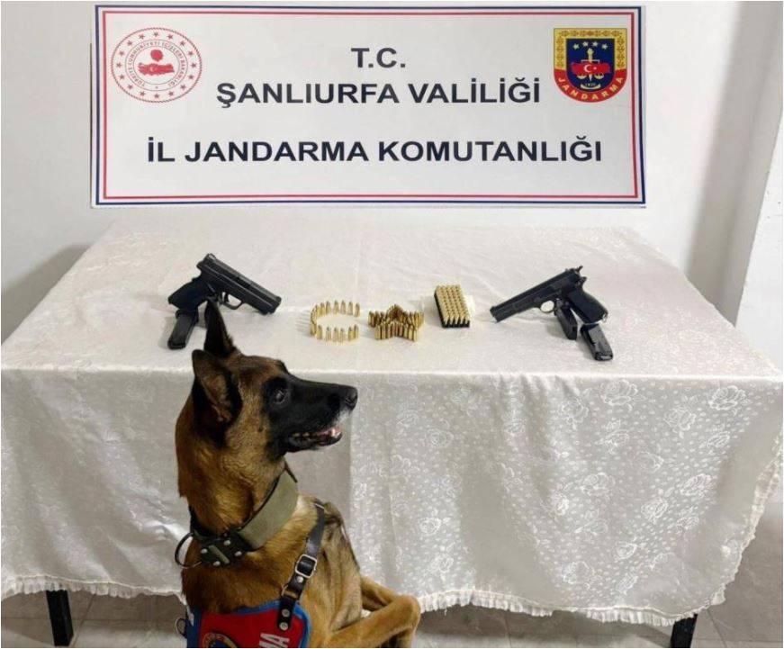 Şanlıurfa’da Kaçak Silah Operasyonu: 8 Gözaltı