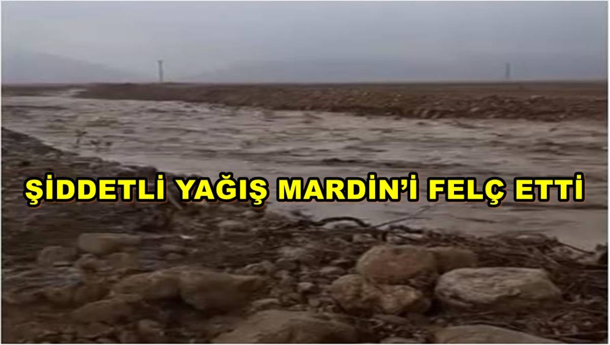 Şiddetli Yağış Mardini Felç Etti