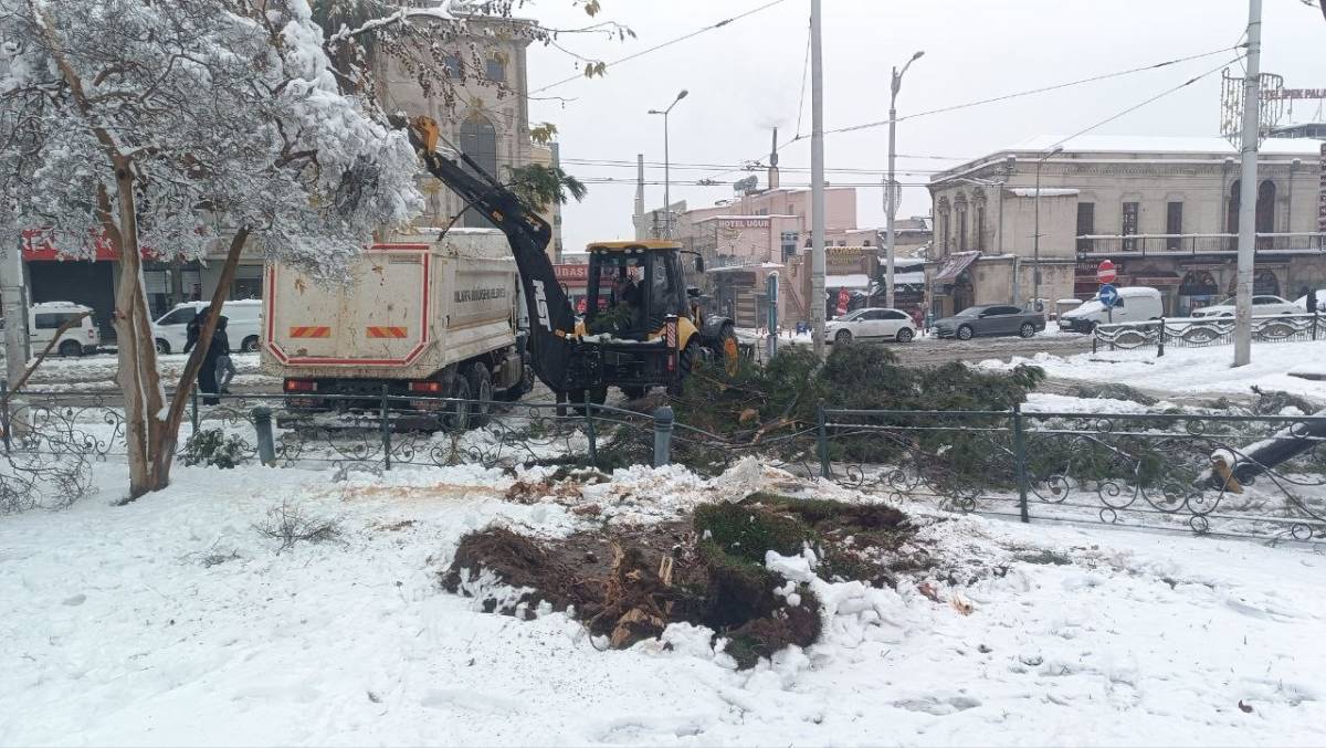 Karın ağırlığına dayanamayan ağaçlar devrildi.