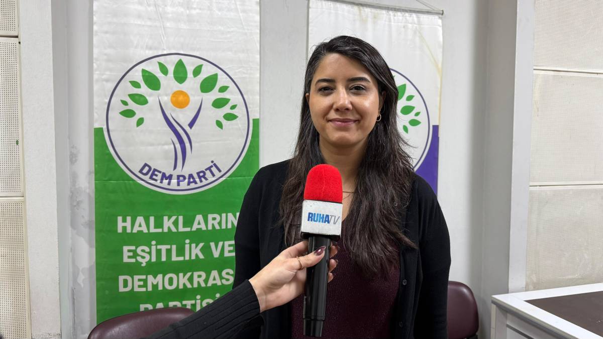DEM'li Demirbilekli'den özel açıklama: Bu yılki Nevruz çok farklı anlamlar içeriyor!