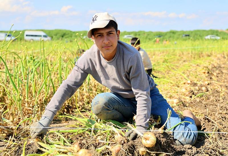 Çocuk işçi gerçeği: Eğitim yerine ekmek mücadelesi!