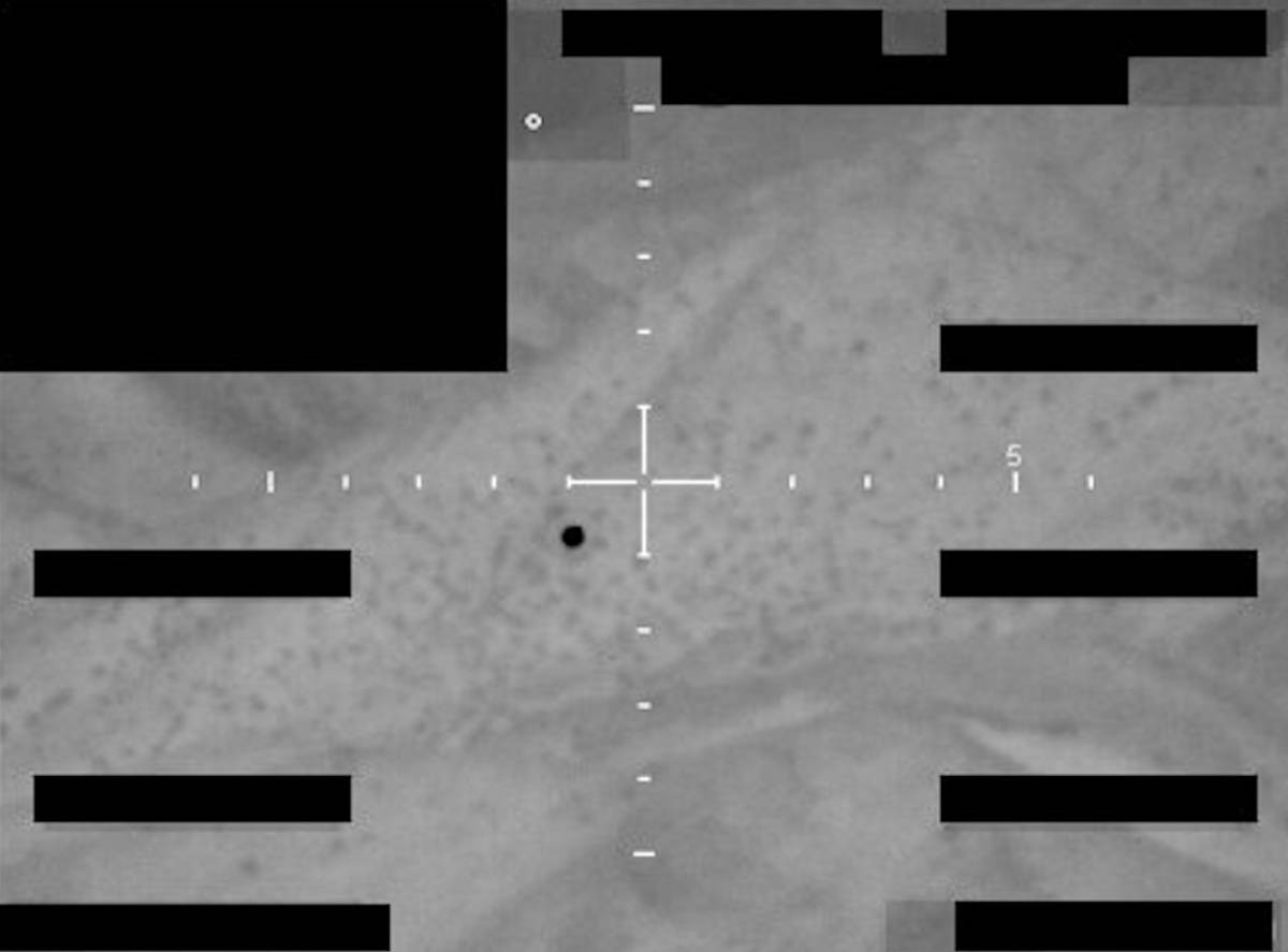 UFO dosyalarını yayınlamaya başladı!
