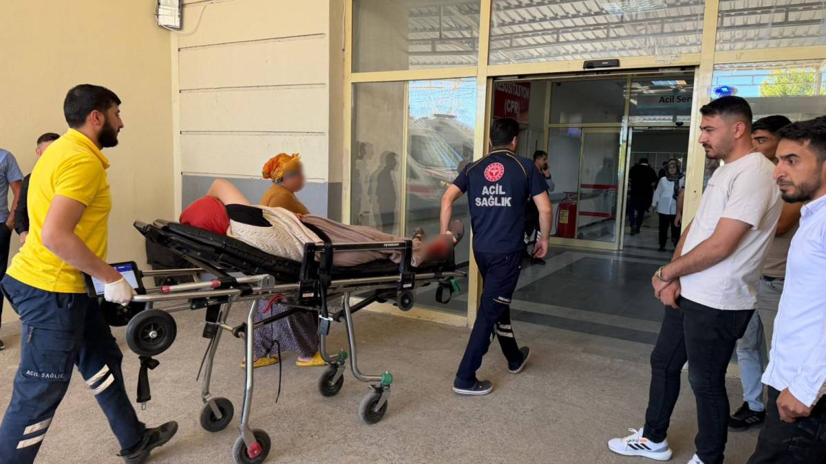 Urfa'da yılanı öldürmek isterken 5 kişiyi yaraladı!