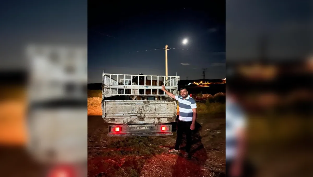 Urfa'da kayıp ihbarı verildi: Jandarma harekete geçti!
