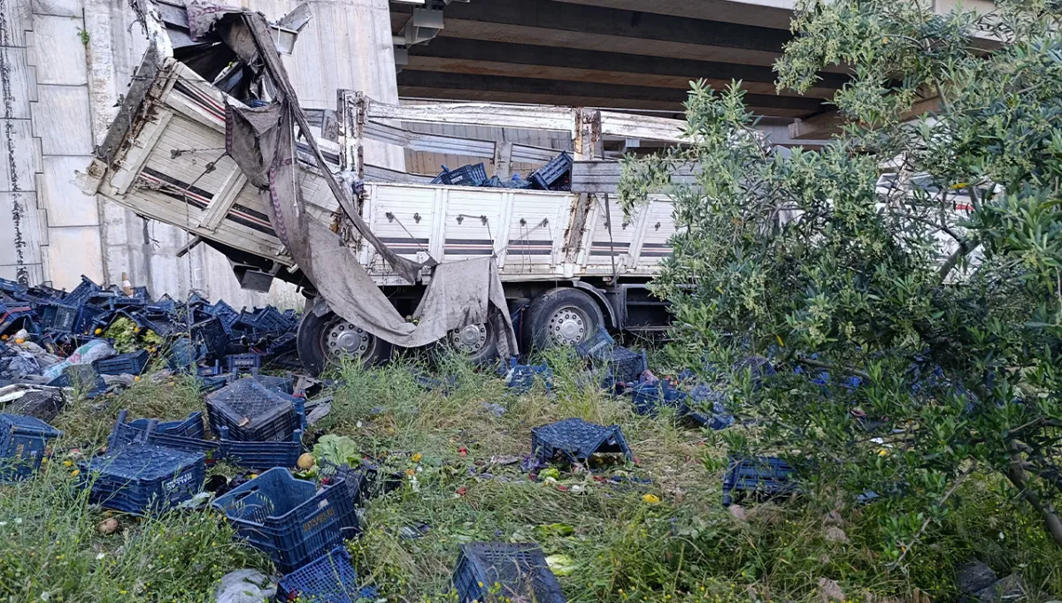 Şanlıurfa için yola çıktı: Viyadükten 30 metreden aşağı uçtu!