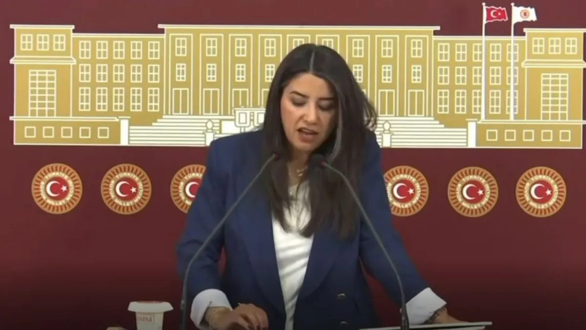 Vekil Ayan, Siverek-Şalıurfa yol sorununu Meclis'e taşıdı!