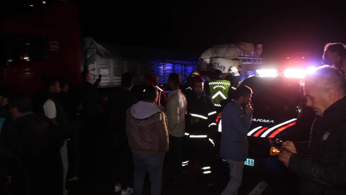 Urfa'dan yola çıktı: Aksaray'da kaza yaptı!