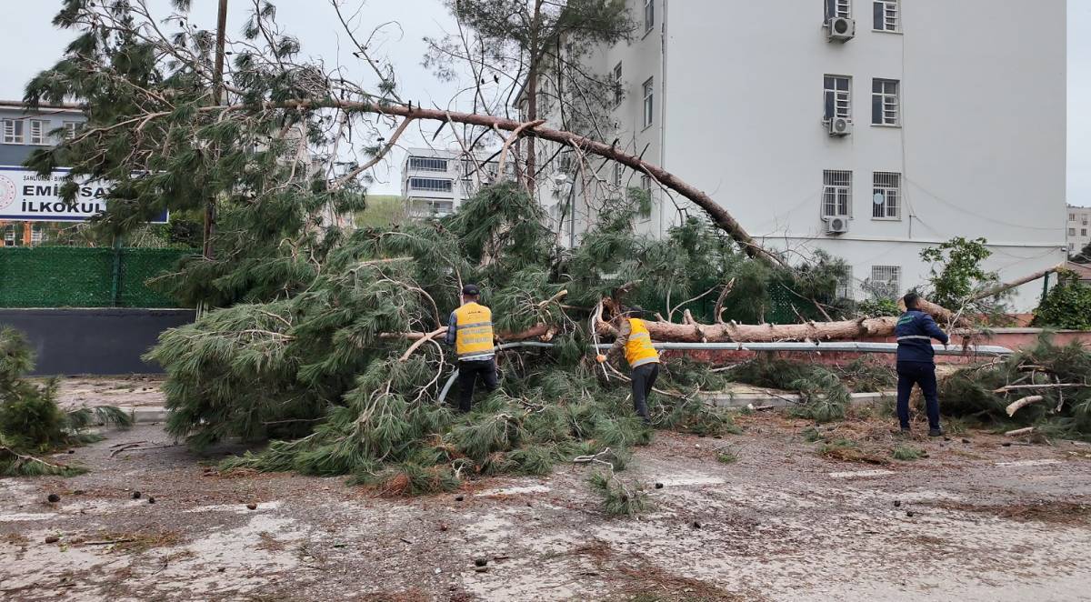 Büyükşehir, Birecik'te afetin yaralarını sarıyor!