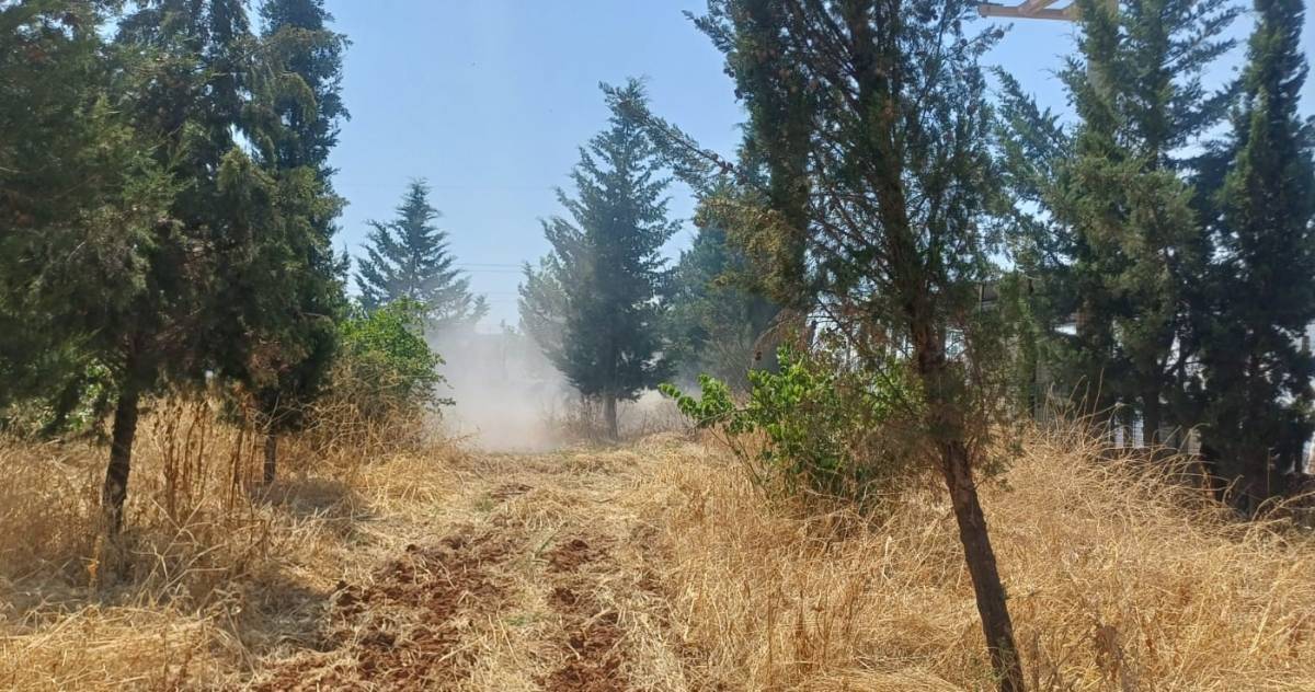 Şanlıurfa'da anız yangını!