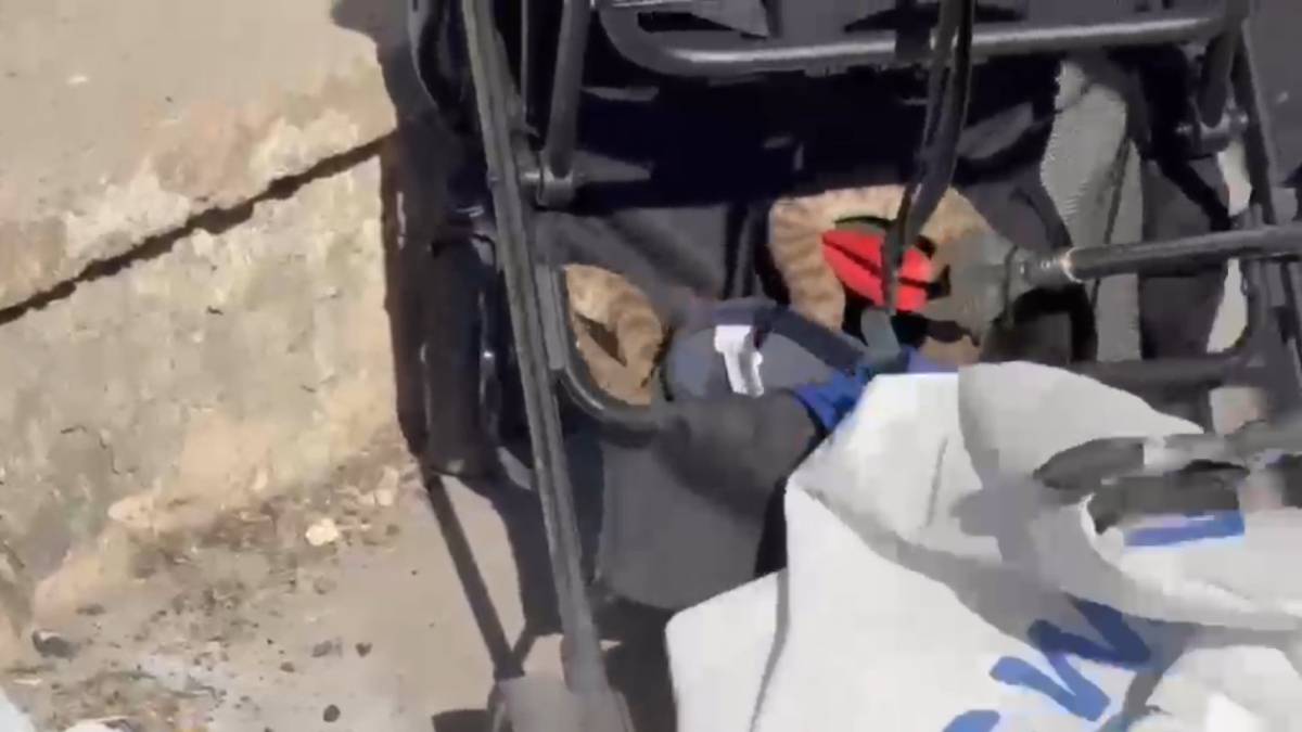 Şanlıurfa’da yılan paniği: Bebek arabasının içine düştü!