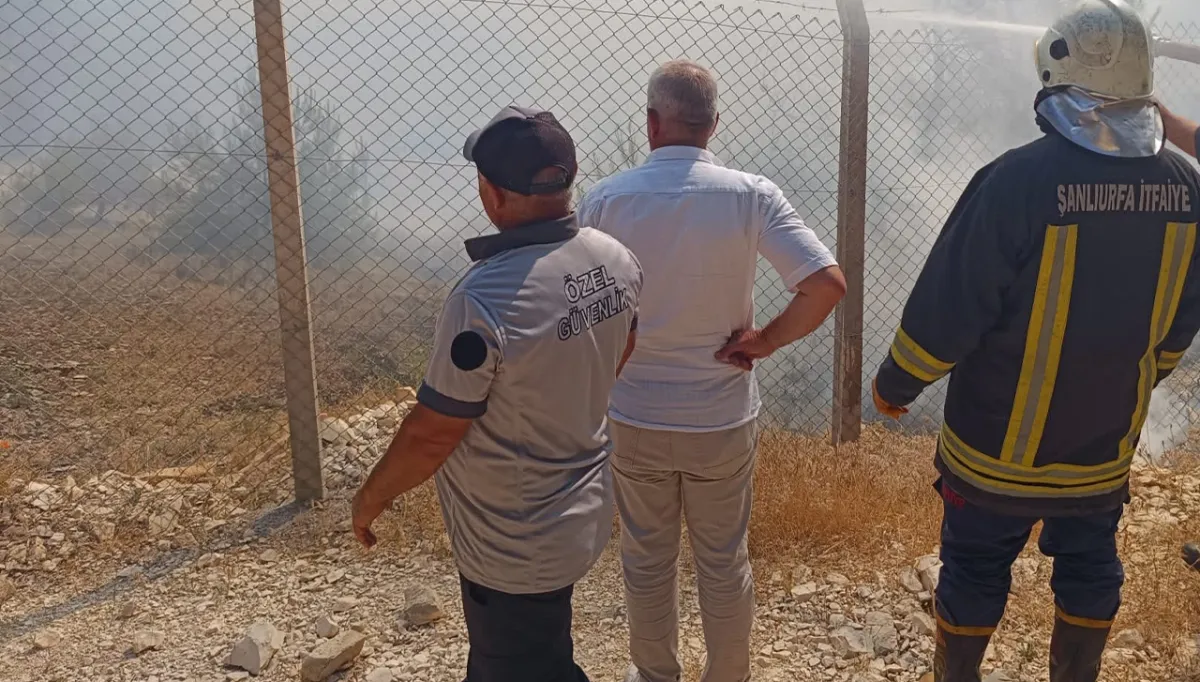 Urfa'da orman yangını: Ekipler seferber oldu!