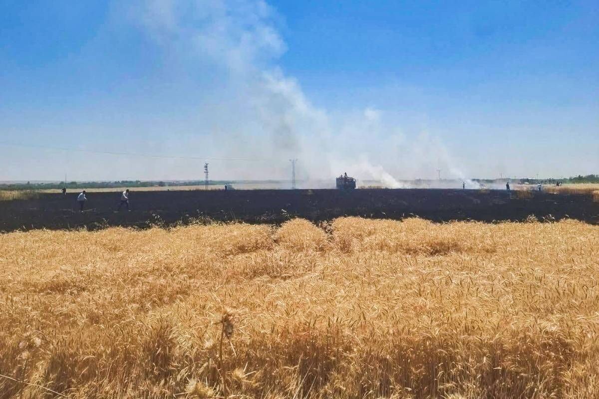 Urfa'da buğday tarlasında yangın!