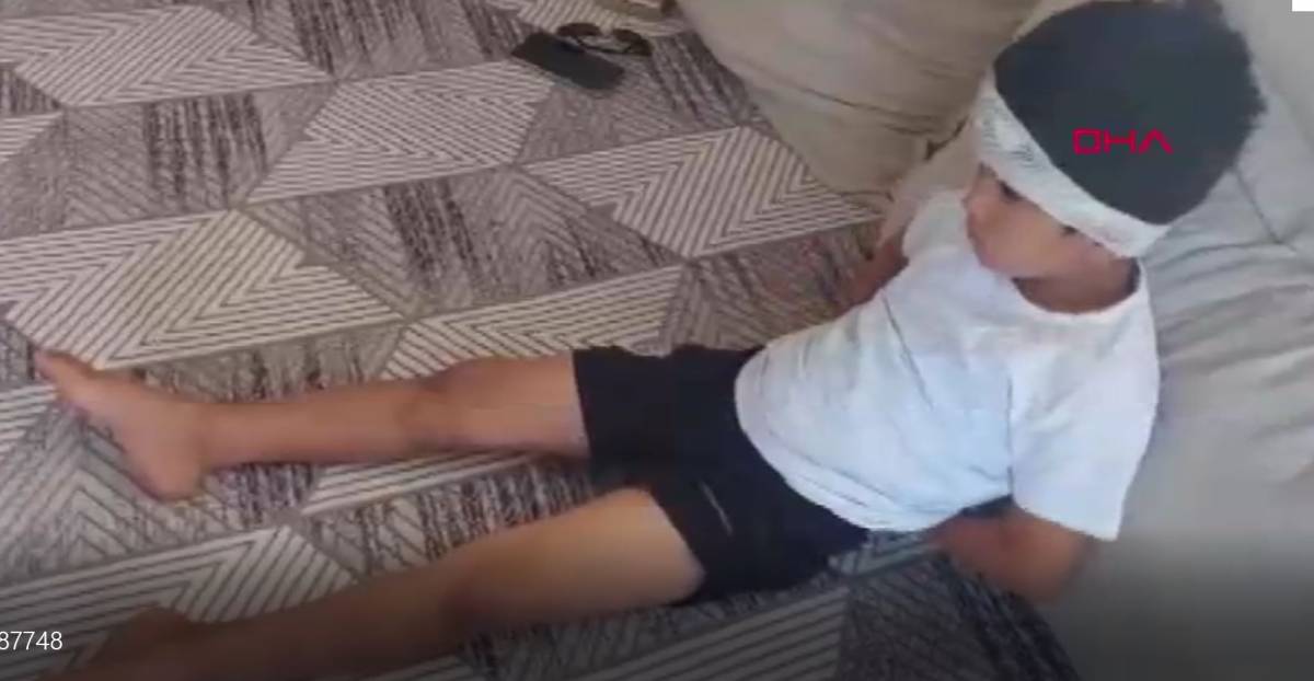 Köpeklerin saldırısına uğrayan çocuğu babası kurtardı!
