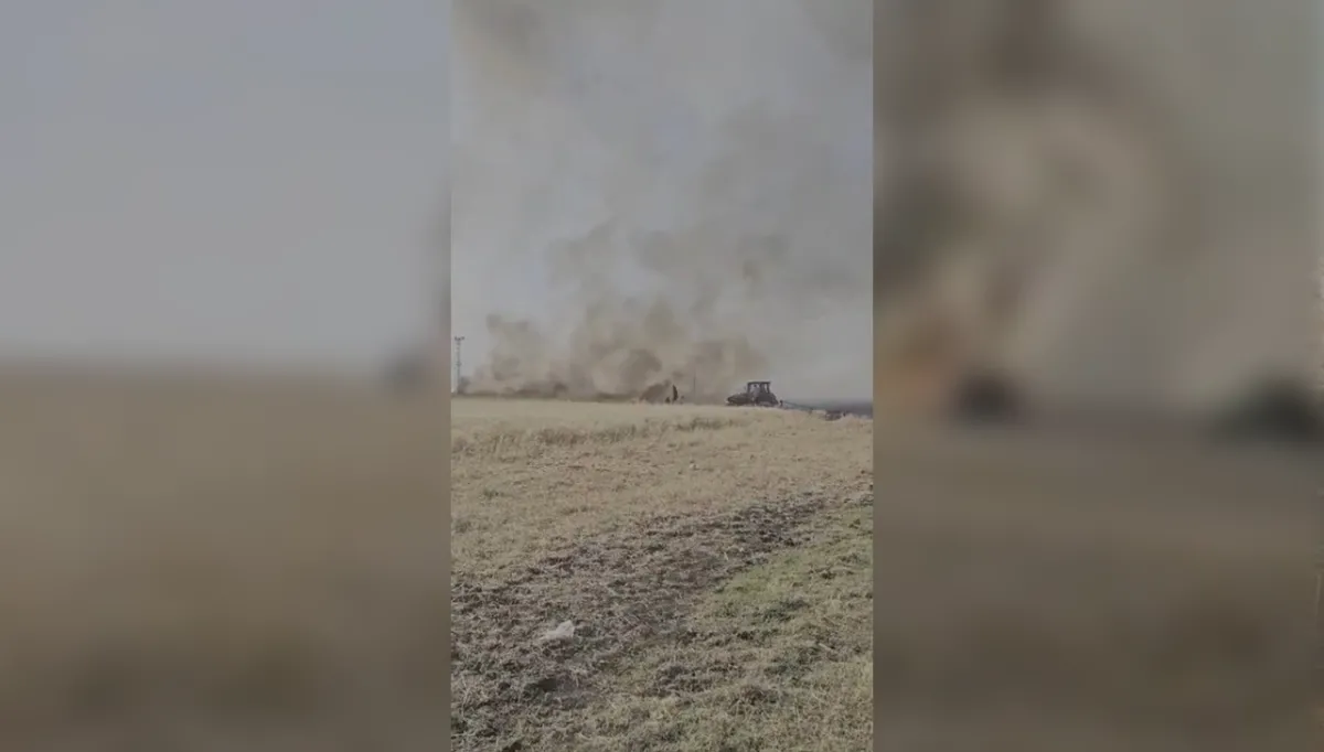 Urfa'da 60 dönümlük ekili alan alevlere teslim oldu!
