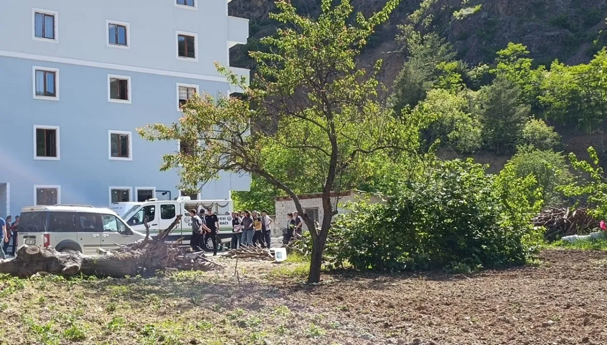 Eşini odunla döverek öldürdü!