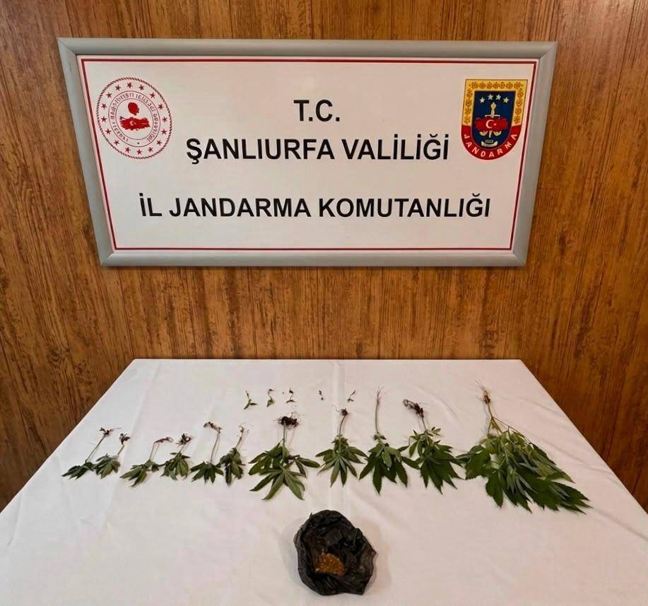 Şanlıurfa'da uyuşturucu operasyonu!