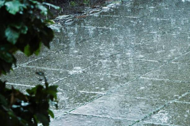 Dikkat! Meteoroloji'den 31 il için sarı uyarı!