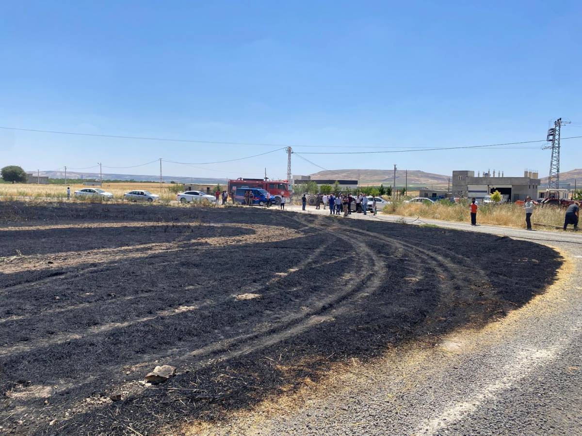Urfa'da korkutan yangın bilançosu! Bir günde 227 yangın çıktı!