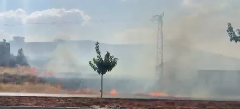 Urfa'da korkutan yangın! 500 dönümlük  otluk alan küle döndü!