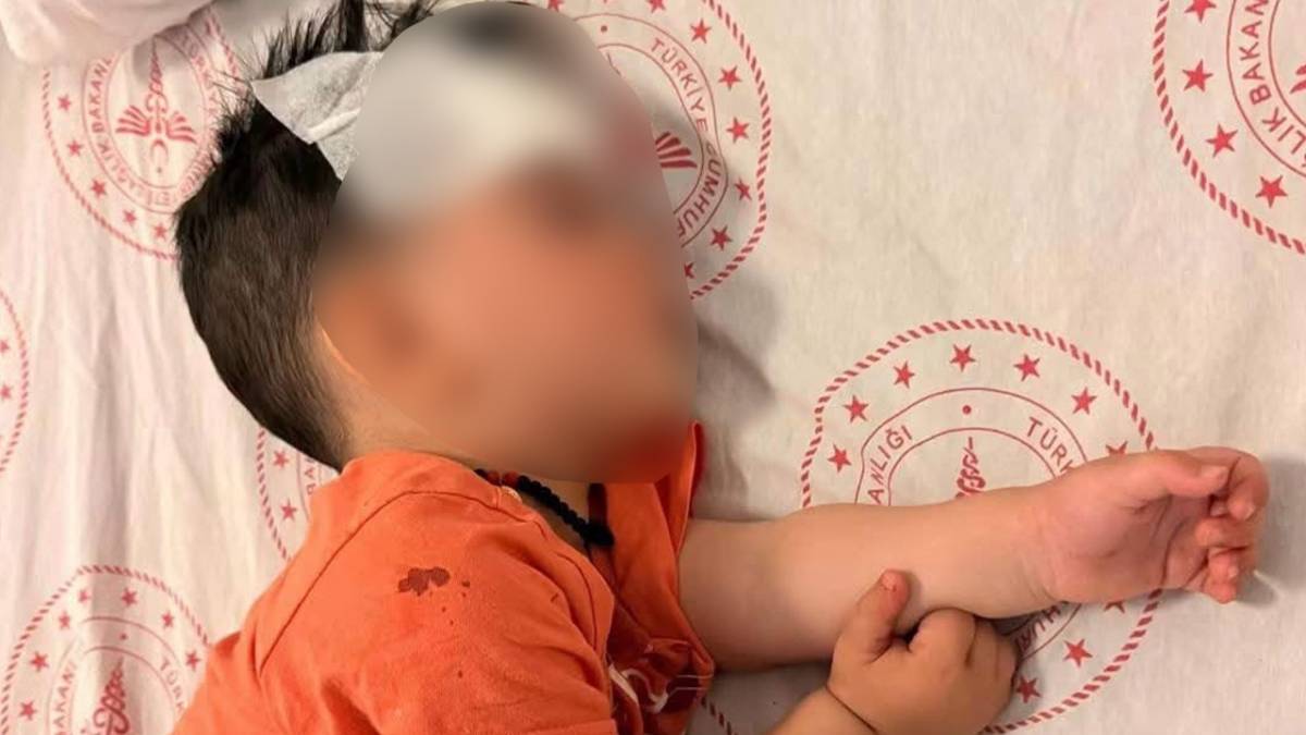 Köpeğin saldırdığı 1.5 yaşındaki çocukla ilgili yeni gelişmeler!