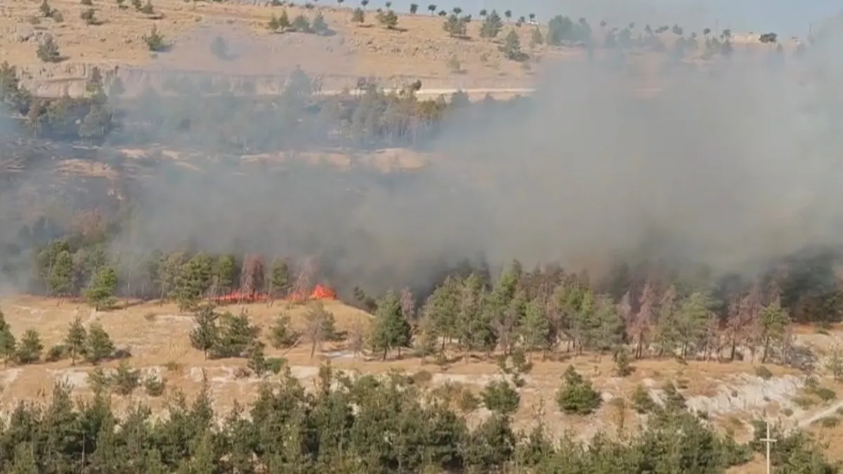 Urfa'da ormanlık alanda korkutan yangın