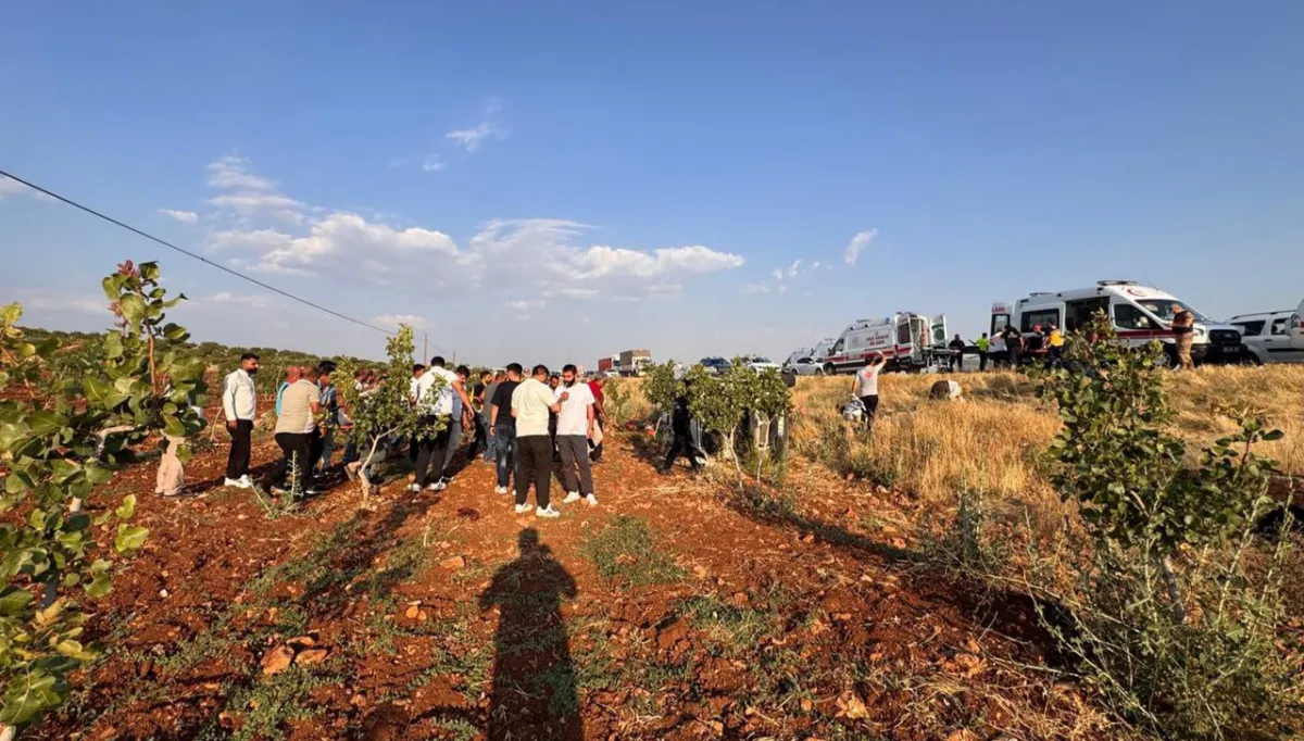 Urfa'da katliam gibi kaza: Çok sayıda yaralı var!