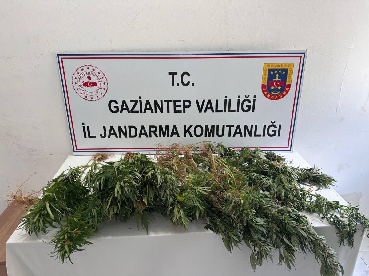 İl Jandarma tarafından zehir tacirlerine darbe!