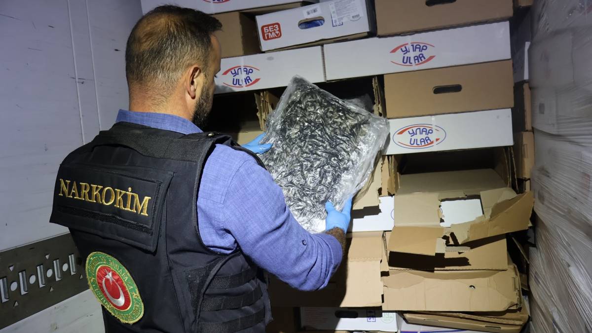 Tavuk kolilerine gizlenmiş halde bulundu: 526 kilogram ele geçirildi!