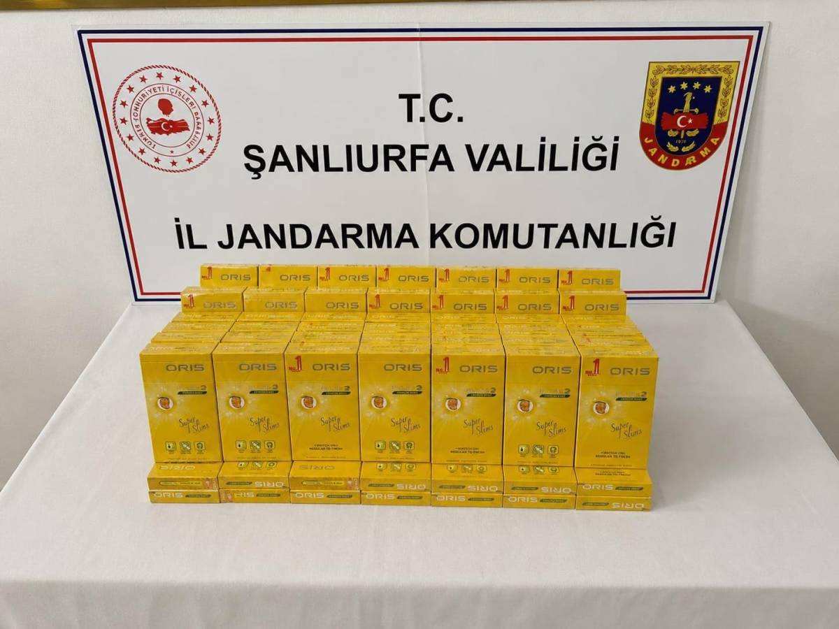 Birecik ve Suruç'ta jandarma denetimi! Çok sayıda şahsa işlem yapıldı!