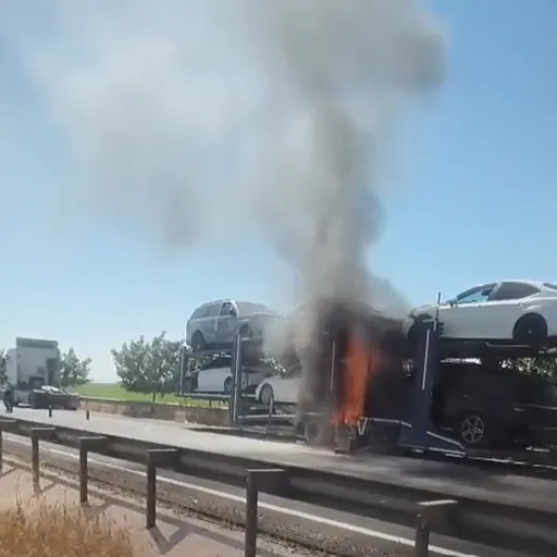 Urfa’da otomobil yüklü TIR alev alev yandı!