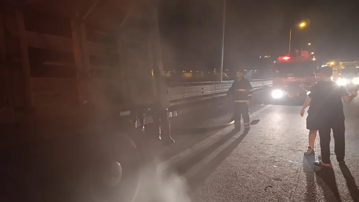 Urfa'da sebze yüklü TIR alev alev yandı!