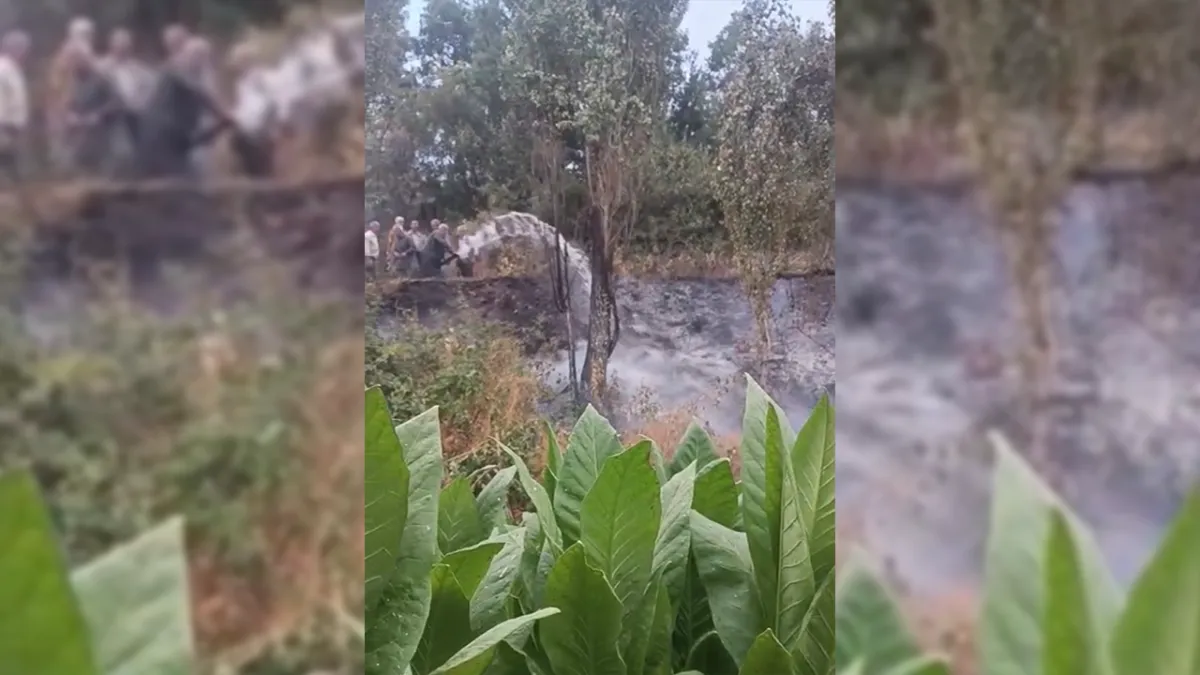 Düşen yıldırım bahçe yangınına neden oldu!