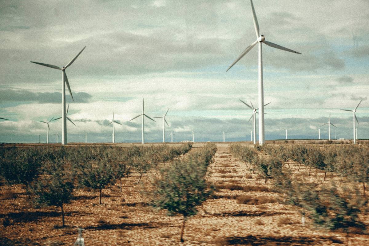Bakan Bayraktar açıkladı: Enerjide yeni rekor