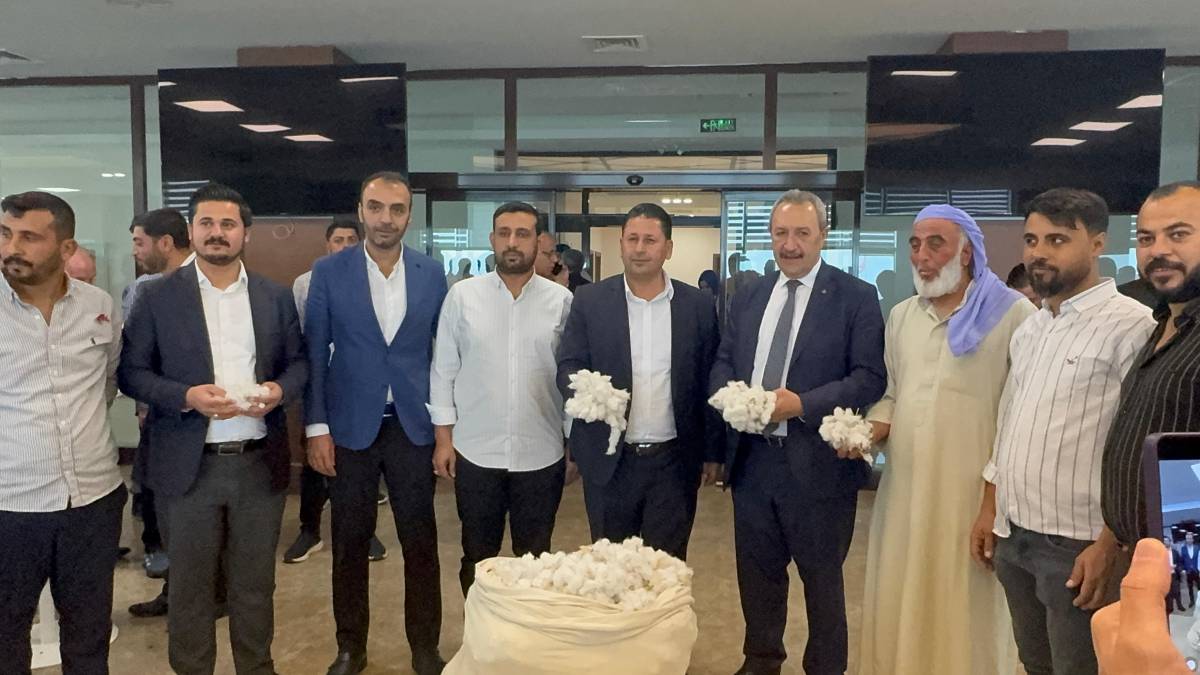 Şanlıurfa'da yılın ilk pamuk satışı yapıldı!