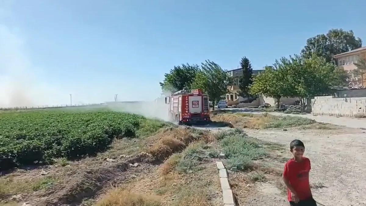 Urfa'da sınır hattındaki mayınlı alanda yangın endişe yarattı!