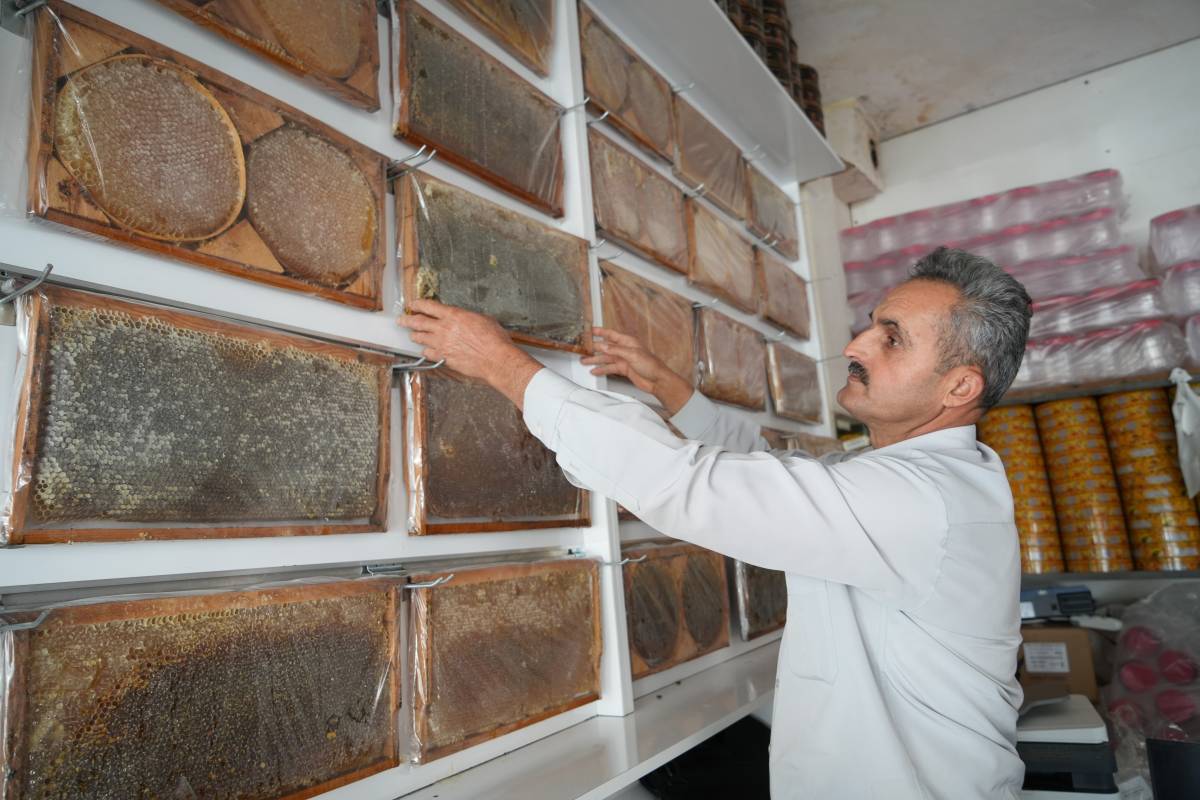 Şanlıurfa’dan Muş’a uzanan bal yolculuğu: 700 tonluk hasat!