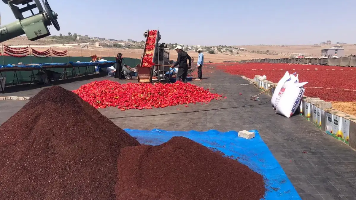 Şanlıurfa’da üzen zam: Kilosu 500 TL’yi buldu