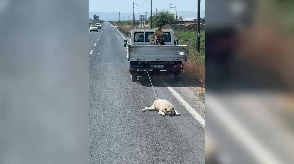 Urfa'da dehşet olay: Ayağından sürüklenerek götürüldü!