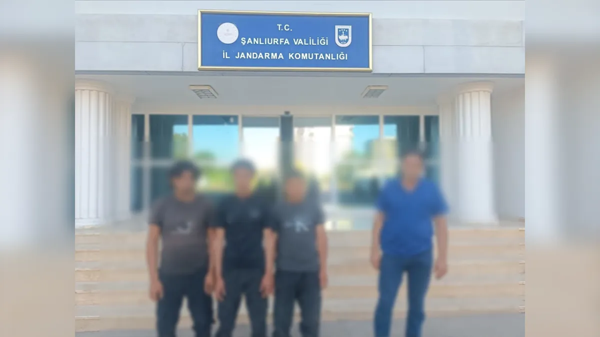 Urfa’da göçmen kaçakçılığına yönelik operasyon!