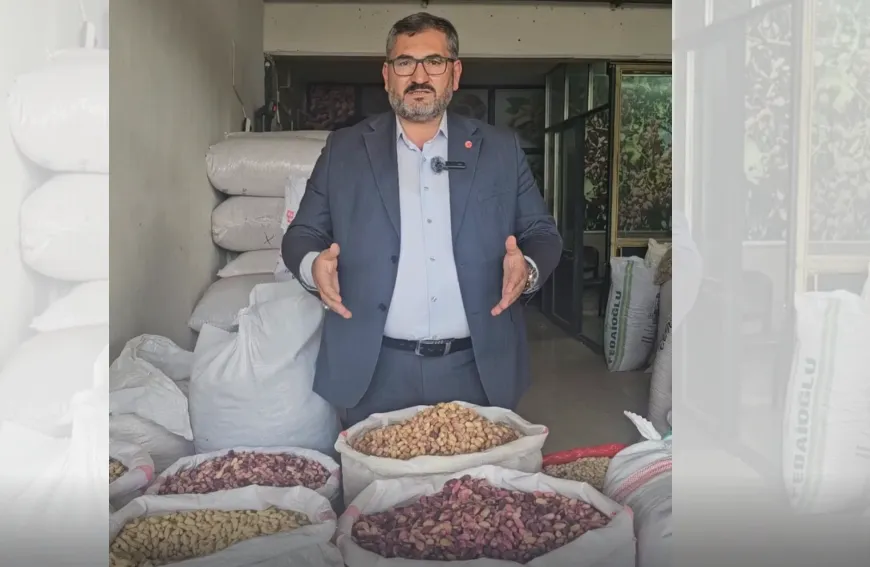 Şanlıurfa'da fıstık üreticisi dertli: “Ürünümüz elimizde kaldı”