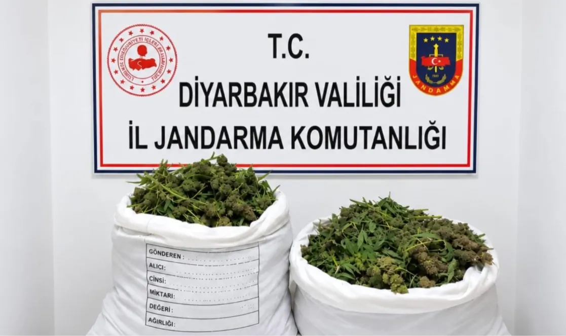 Şanlıurfa’nın komşu ilinde dev operasyon
