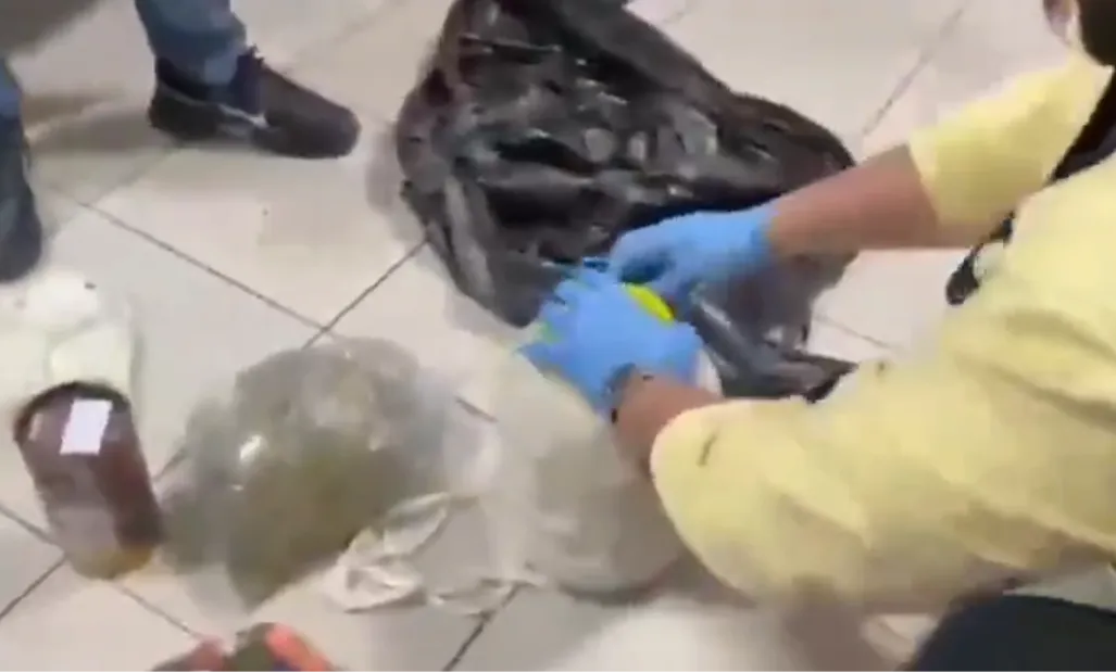Şanlıurfa dahil 78 ilde uyuşturucu operasyonu