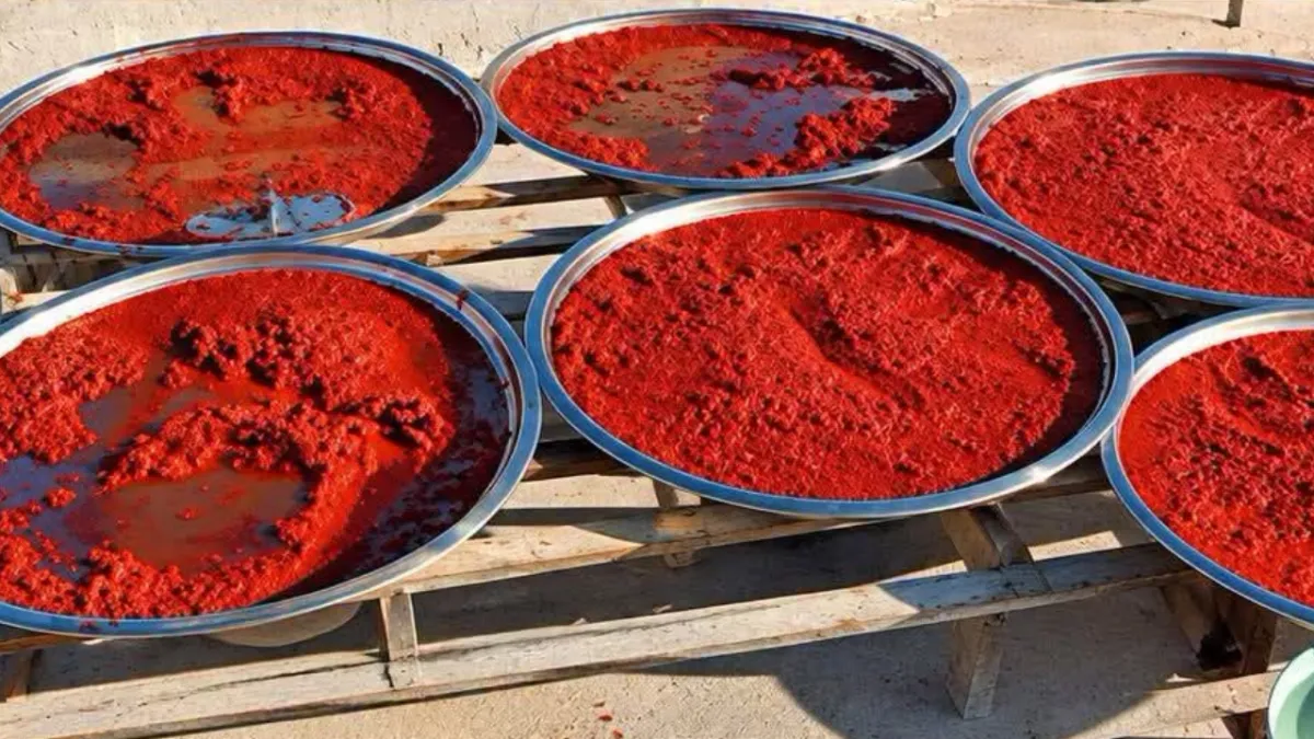 Urfa’da şaşırtan hırsızlık olayı: Damdaki salçayı çaldılar